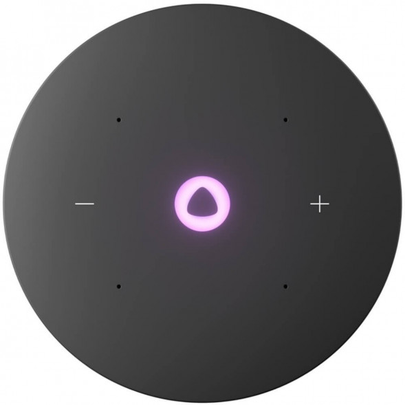 Умная колонка Яндекс Станция Мини 3 Про с Алисой с Zigbee, серый в Кирове