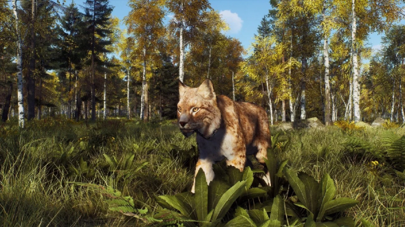 Игра Way of the Hunter: Wild Expeditions [PS5, русские субтитры] в Кирове