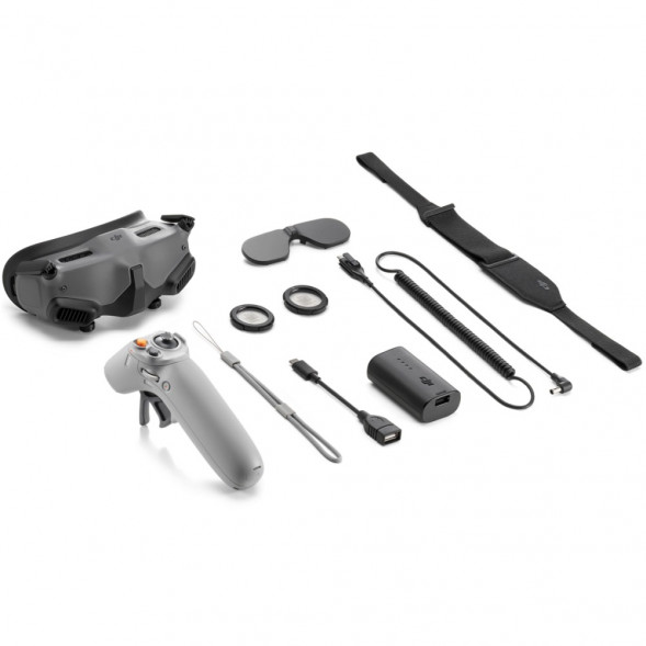 DJI Goggles 2 Motion Combo (DJI RC Motion 2) в Кирове