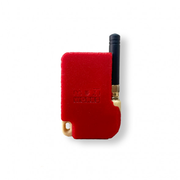 Teкcтовaя pация Меshtаstiс 868 МГц в Кирове