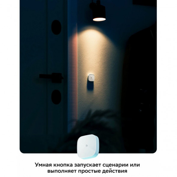 Умная кнопка Sber SBDV-00032 в Кирове