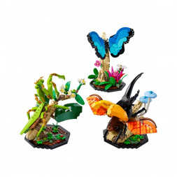 Конструктор LEGO Ideas 21342 Коллекция насекомых