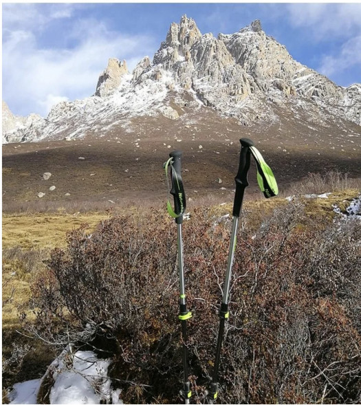 Треккинговая палка Naturehike 135 см, 1 шт., черный/красный в Кирове