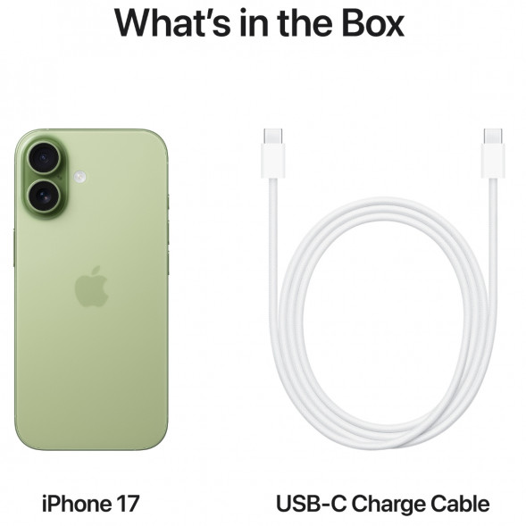 Смартфон Apple iPhone 17 512GB eSim, Sage в Кирове