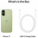 Смартфон Apple iPhone 17 512GB eSim, Sage в Кирове