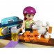 Конструктор LEGO Friends 41099 Скейт-парк в Кирове