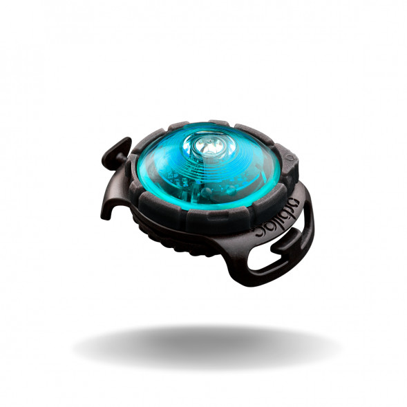 Фонарь для собак Orbiloc Dog Dual Fashion Colours, бирюзовый в Кирове