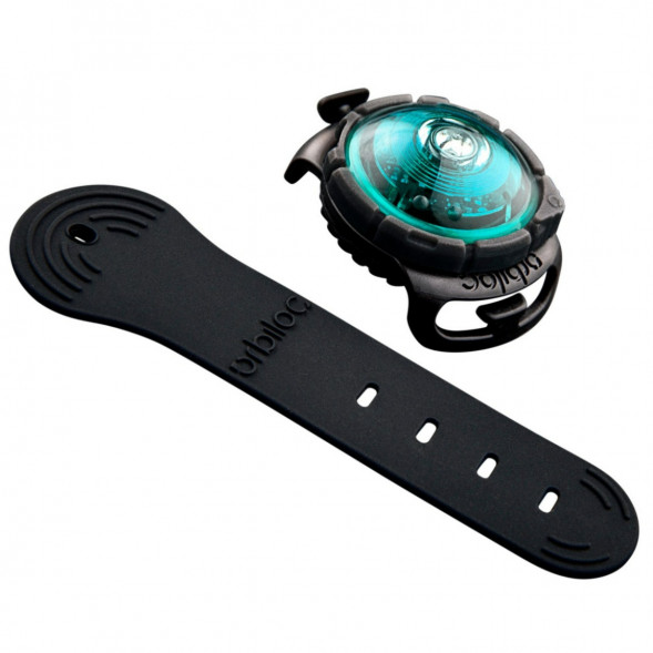 Фонарь для собак Orbiloc Dog Dual Fashion Colours, бирюзовый в Кирове