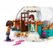 Конструктор LEGO Friends 41760 Праздничное приключение в иглу в Кирове