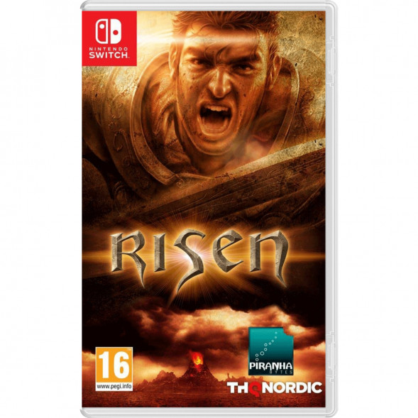 Игра Risen [Nintendo Switch, русская версия] в Кирове