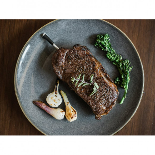 Термометр со щупом Meater Plus для мяса в Кирове