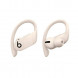 Беспроводные наушники Beats Powerbeats Pro, Ivory (MY5D2ZM/A) в Кирове