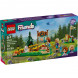 Конструктор LEGO Friends 42622 Стрельба из лука в летнем лагере в Кирове