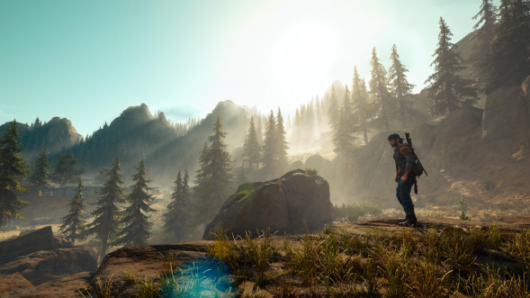 Игра Жизнь После (Days Gone) [PS4, русская версия] в Кирове