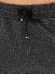 Шорты мужские трикотажные, серый, XL